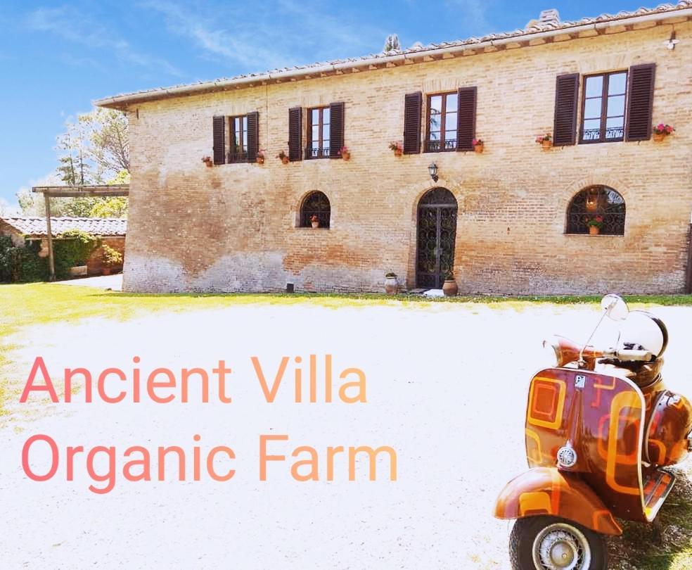 Villa Poggio Al Sole Bio Agriturismo Private Pool San Rocco a Pilli Exterior photo