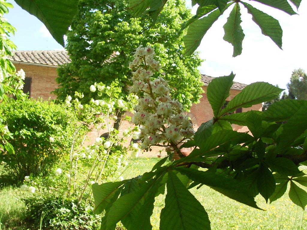Villa Poggio Al Sole Bio Agriturismo Private Pool San Rocco a Pilli Exterior photo